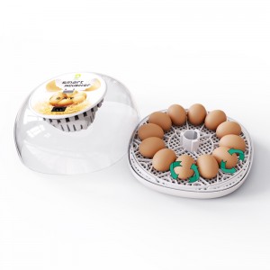 Wonegg automatic temperature control multi-function egg tray for 12 eggs incubator