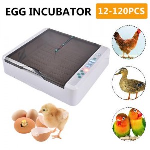 Egg Hatching Incubator Fully Automatic – 36 Chicken Egg Incubator with Automatic Egg Turning and Humidity Control – Hatch Chickens Quail Duck Turkey Goose Birds