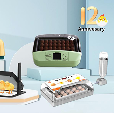 12th Anniversary Promotion