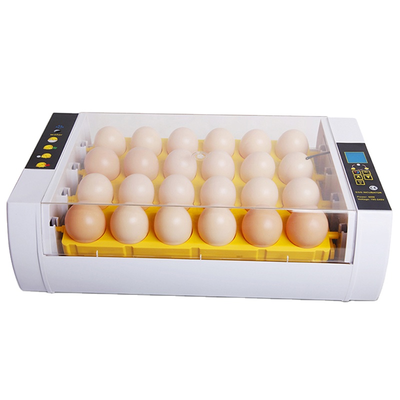 Ac110v 24 Eggs Hatching Incubator Turn Eggs Motor
