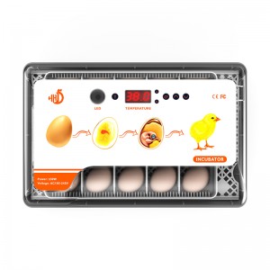 Flexible egg tray for automatic 20 duck eggs