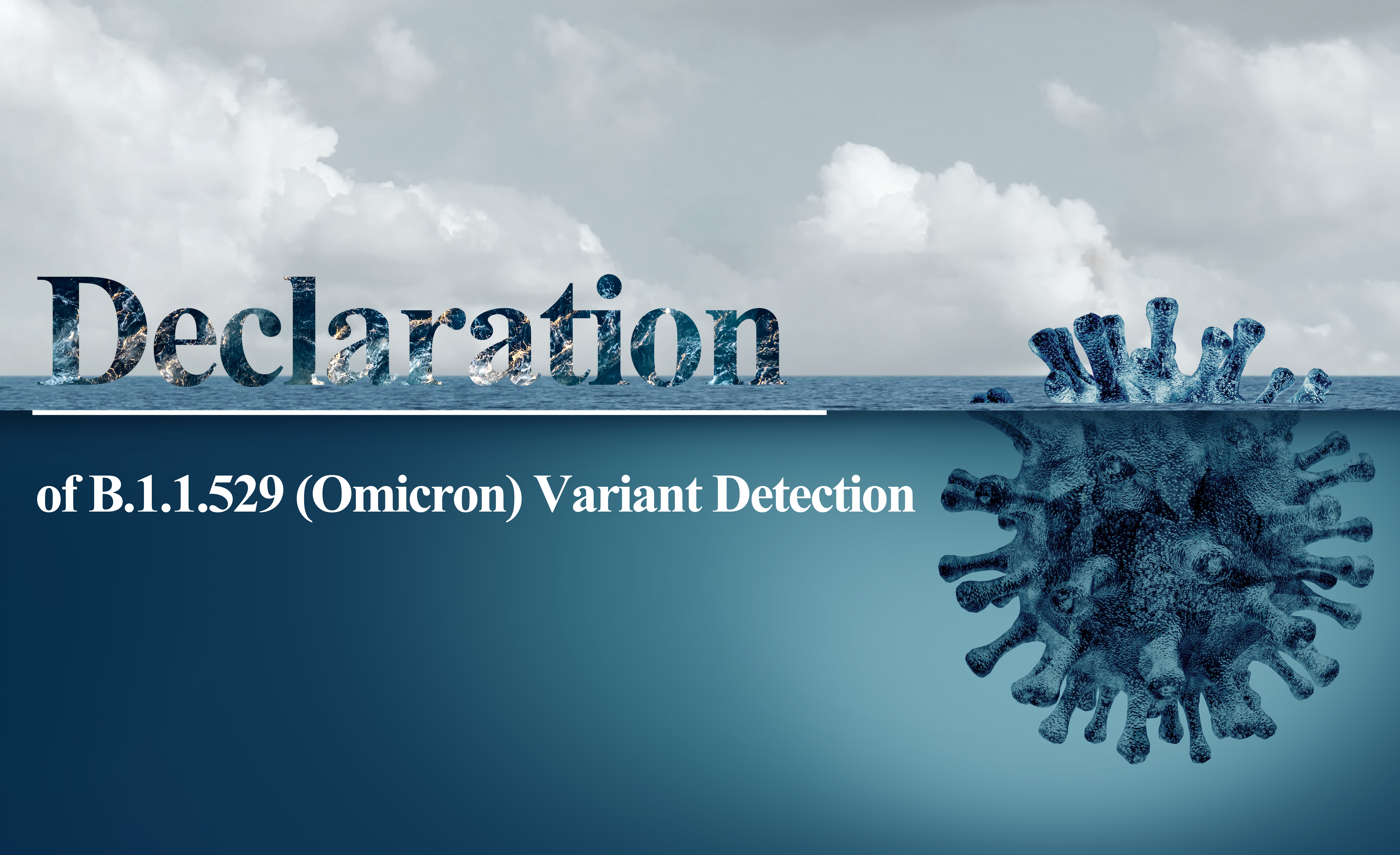 Declaration of B.1.1.529 Variant (Omicron) Detection