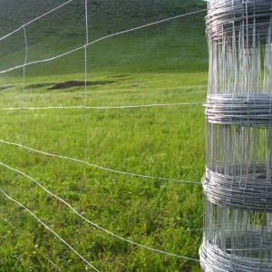Galvanized Steel Grassland Field Wire Fence