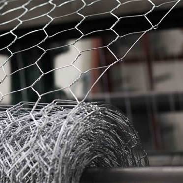 Agricultural Heavy Duty Chicken Wire