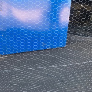 Hexagonal galvanized Chicken Wire Netting Cages