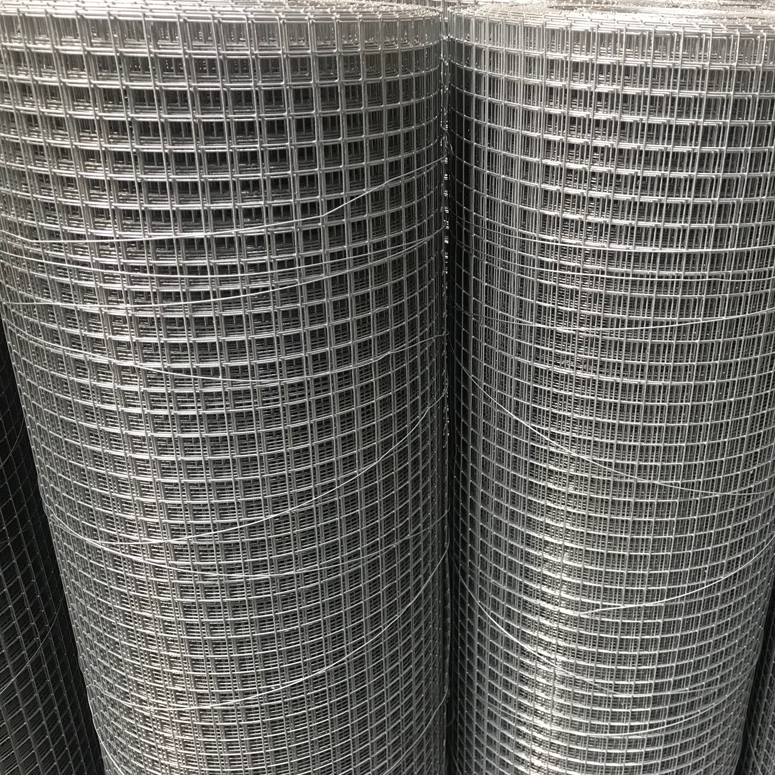 Leading Manufacturer for Pvc Coated Poultry Netting - Hot Dip Galvanized Welded Wire Mesh GAW  – Tian Yilong