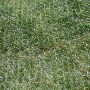 Utility Fencing Garden Zone Galvanized Chicken Wire Netting 24 in. x 50 ft