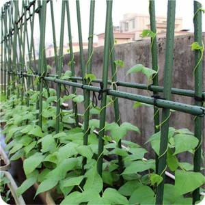 Climbing Plant Support Plastic Coated SteelGarden Stake