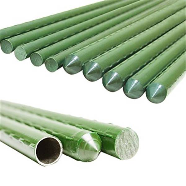 8 Year Exporter Plastic Tomato Stakes - Climbing Plant Support Plastic Coated SteelGarden Stake 01 – Tian Yilong