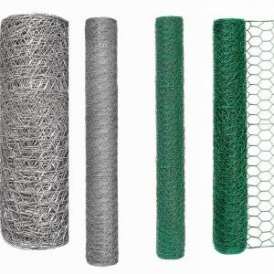 Low MOQ for Diamond Fence - Electro Galvanized Chicken Wire Netting for Wall Plastering and Building – Tian Yilong