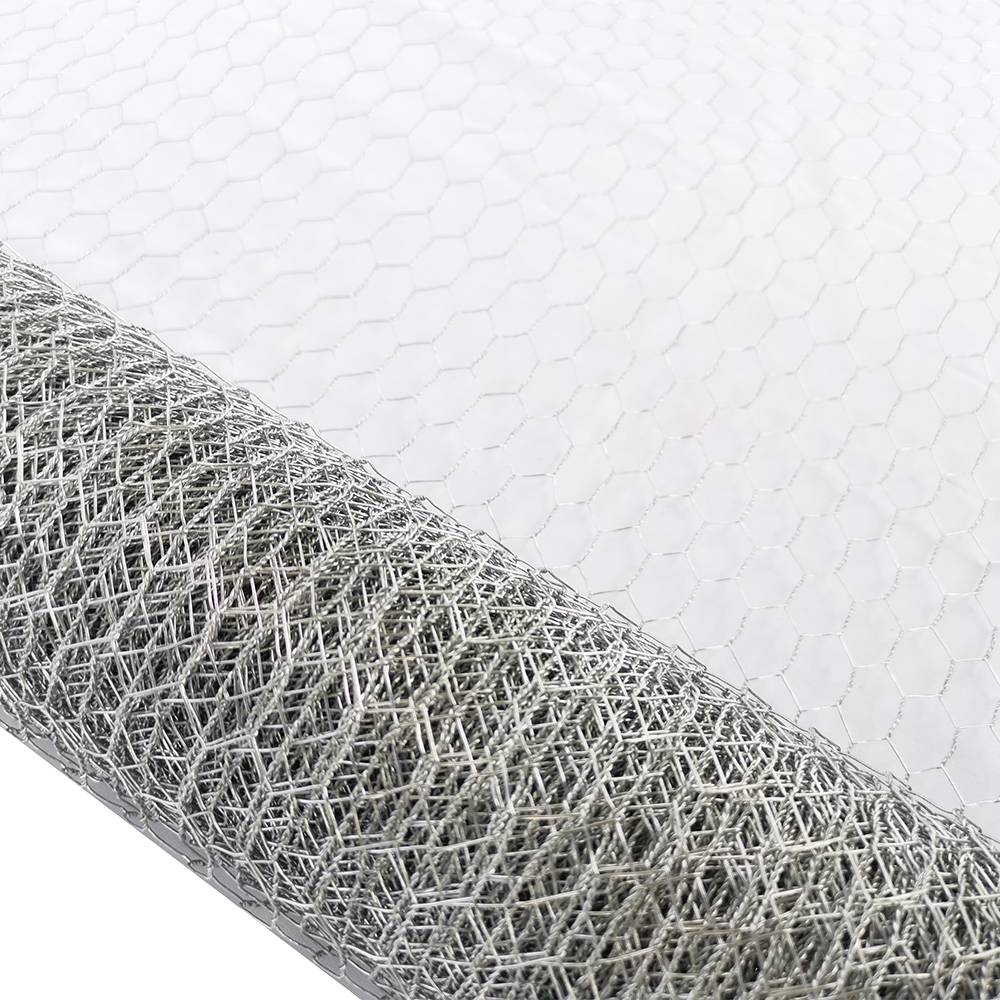 OEM/ODM Factory Slatted Chain Link Fence - GAW Hexagonal Wire Fence Chicken Wire Fencing 50m Length – Tian Yilong