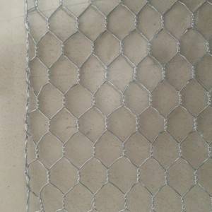 Big discounting 2×2 Welded Wire Mesh - 16g Galvanized Hex Wire Netting for Tennis Courts – Tian Yilong