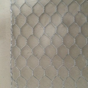1.6 mm Hex Wire Mesh for Ceiling of Bumper Cars