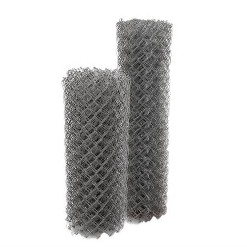 Factory Cheap Hot Plastic Coated Wire Mesh - Galvanized Steel Chain Link Fabric for Residential – Tian Yilong