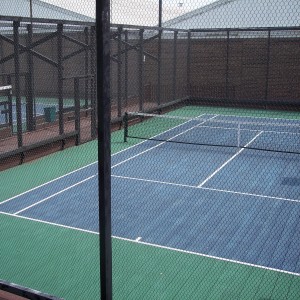 Triple Twist 16 Gauge Chicken Wire Netting For Tennis Court