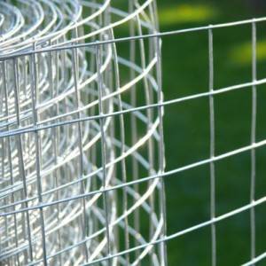 PriceList for Wire Mesh Fence Panels - Decorative Zinc Coated Welded Steel Wire Mesh 12.5 Gauge Anticorrosion – Tian Yilong