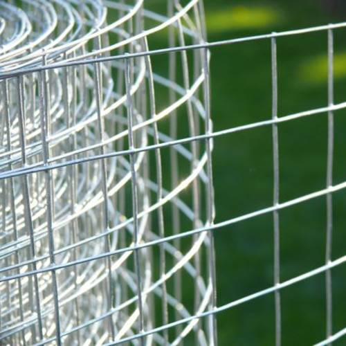 Good Wholesale Vendors Stainless Steel Aviary Mesh - Decorative Zinc Coated Welded Steel Wire Mesh 12.5 Gauge Anticorrosion – Tian Yilong