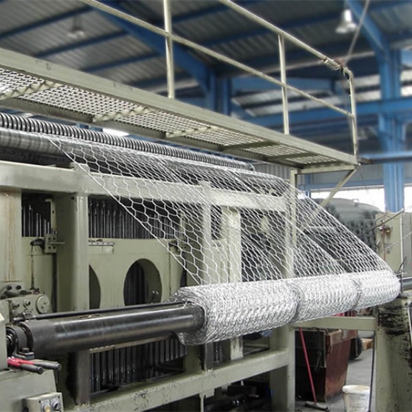 Factory directly 16 Mesh Screen - Metallic Chicken Wire Netting 19mm – Tian Yilong