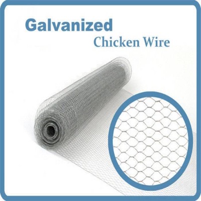 China Hexagonal Chicken Wire Netting GAW For Bird Flight Pens factory and  manufacturers