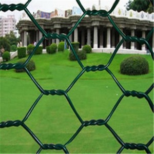 PVC Coated Wire Netting Green Chicken Wire Fencing