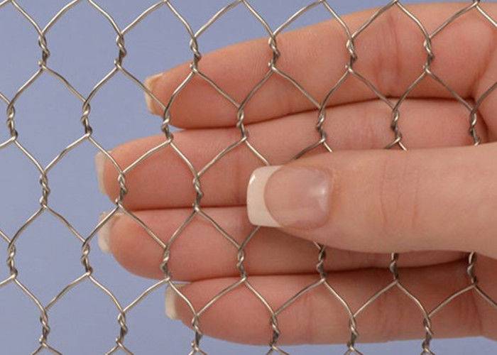 Factory selling Metal Fly Screen Mesh - Stainless Steel Chicken Wire Mesh  – Tian Yilong
