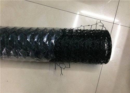 Discountable price Steel Mesh Screen - Black Vinyl Chicken Wire Netting Electric 18 Gauge Galvanized Wire Mesh – Tian Yilong