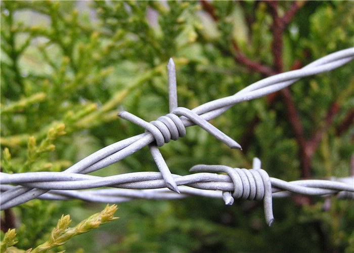 Factory Cheap Gaucho Barbed Wire - Barbed Wire Fencing I 1320 ft. 4 PT 12-1/2GA Galvanized With Two / Four Point – Tian Yilong