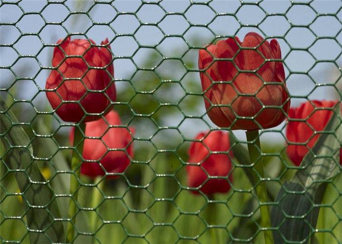 Cheapest Factory Chain Link Fence Installation - Environmental Plastic Coated Chicken Galvanized Wire Netting For Garden – Tian Yilong