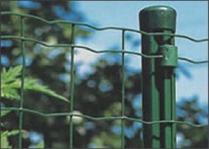 Leading Manufacturer for Pvc Coated Poultry Netting - High Strength Garden PVC Coated Welded Wire Mesh For For Animal Fencing – Tian Yilong