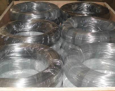 Short Lead Time for Plant Twist Wire - Low Carbon Mild Steel Galvanized Iron Wire Binding For Meshes / Spring Wire – Tian Yilong