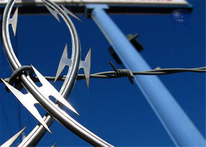 Popular Design for 20 Gauge Galvanized Wire - Concertina Razor Barbed Wire Electric Galvanized Steel Garden Border Edging – Tian Yilong