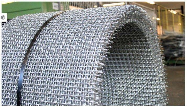 Wholesale Price China Wire Mesh Rolls - Acid Resisting Galvanized / Stainless Steel Pre Crimped Wire Fencing , SGS – Tian Yilong