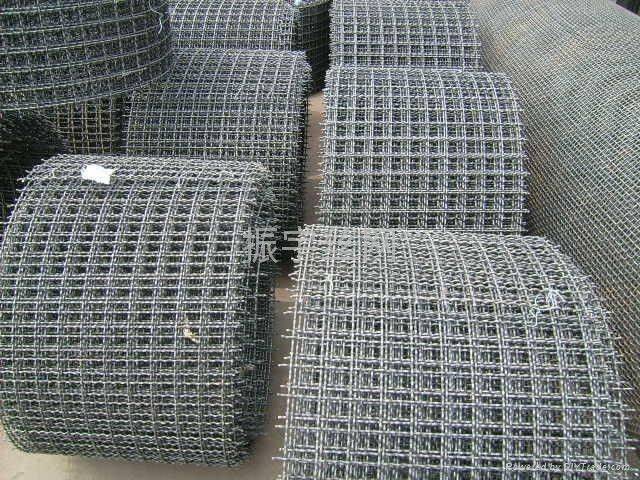 Ordinary Discount Galvanized Welded Wire Mesh - Industrial Stainless Steel Crimped Wire Netting With Hot Dipped Galvanized – Tian Yilong