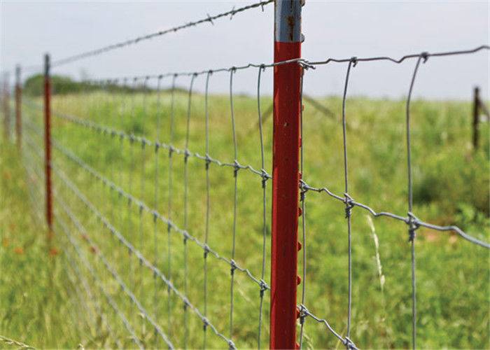 2021 High quality Crimped Wire Mesh - Galvanized Iron Field Wire Fence , Electric Welded Wire Fabric For Livestocks – Tian Yilong