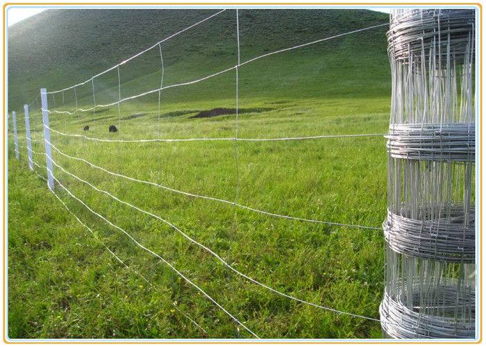 Factory Promotional Mosquito Net - Professional Galvanized Coating Woven Livestock Mesh Wire Fencing For Dogs – Tian Yilong