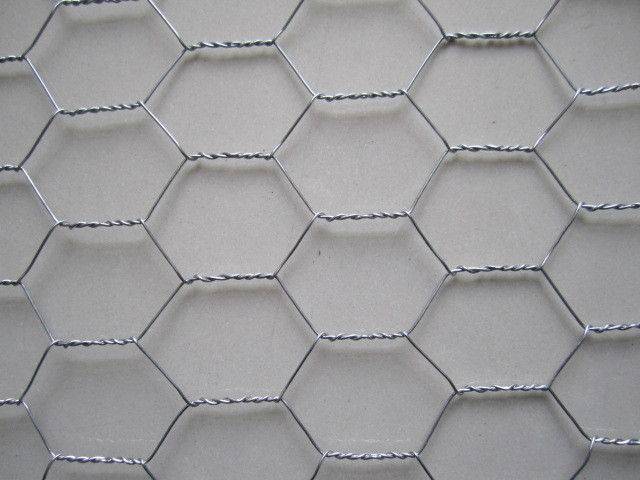 China Factory for Metal Hardware Cloth - Hexagonal Wire Mesh Netting For Rabbit Cage – Tian Yilong