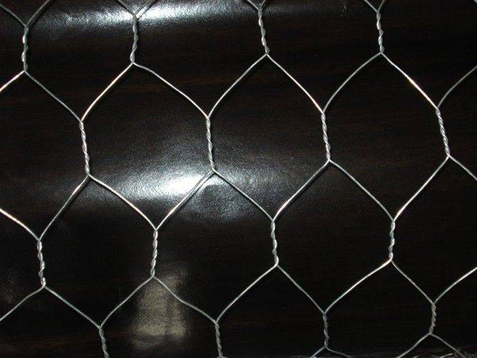 Factory directly supply Woven Mesh Screen - Metal Hexagonal Rabbit Poultry Netting – Tian Yilong