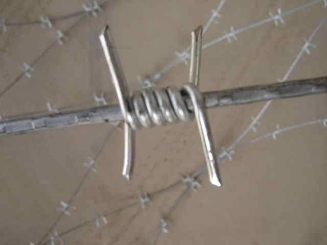 Factory selling Garden Wire For Climbing Plants - Barbed Wire Fence Single Line Wire Galvanized for Farm Ground – Tian Yilong