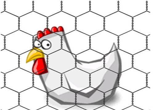 2021 China New Design Welded Wire Mesh Fence - Chicken Coops Chicken Wire Netting 50mm For Pens And Enclousers – Tian Yilong
