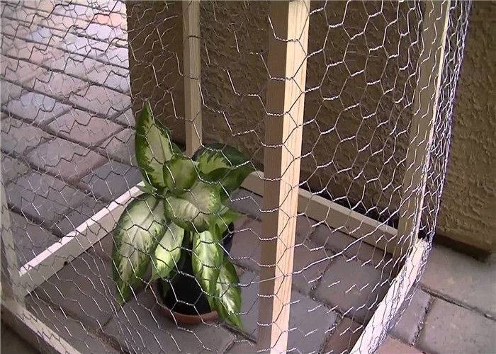 Manufacturing Companies for Rat Proof Wire Mesh - 20 Gauge Wire Dia Garden Chicken Wire Netting Rust Prevention Galvanized – Tian Yilong