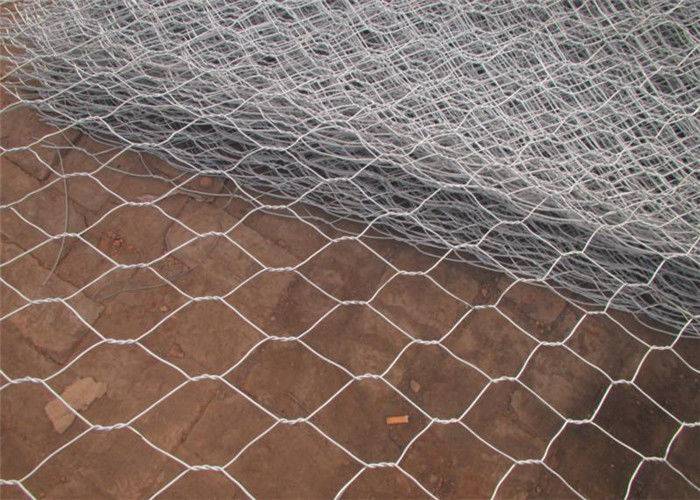 Discount wholesale Pvc Coated Welded Wire Mesh - Malla Gallinero Chicken Wire Netting – Tian Yilong