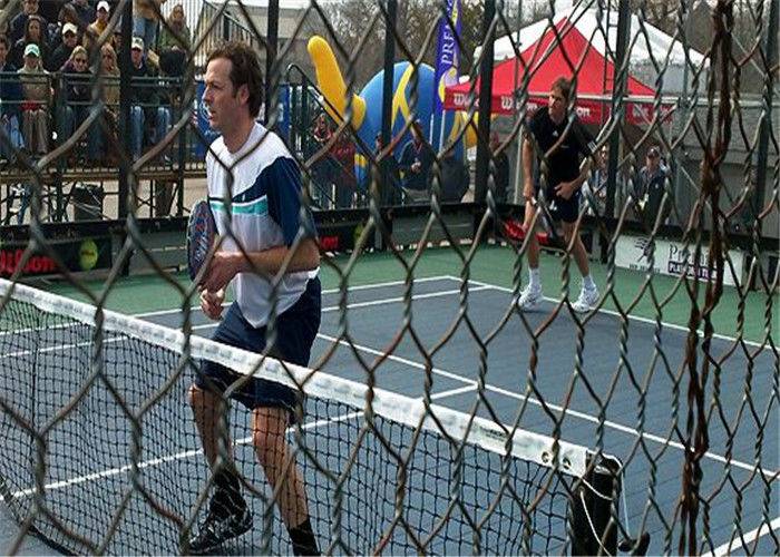 Best-Selling Chain Link Wire Mesh - Paddle Tennis Hexagonal Wire Netting for tennis court , and electric grid bumper cars – Tian Yilong