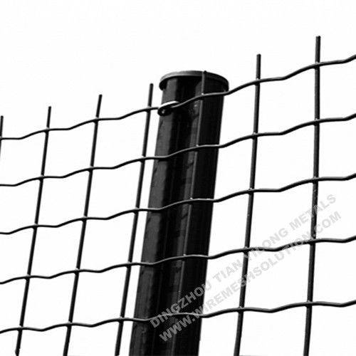 Best Price on Aviary Mesh Netting - Electro Galvanised Wire Mesh Panels Green Powder Coating With Barb Top – Tian Yilong