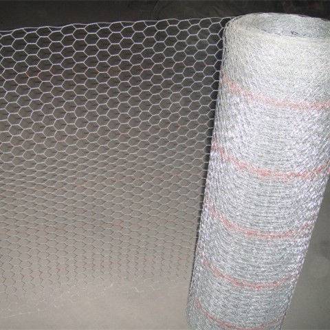 Factory wholesale Tall Chain Link Fence - Stucco Slef- Furred Hexagonal Wire Netting Galvanized Before Weaving – Tian Yilong