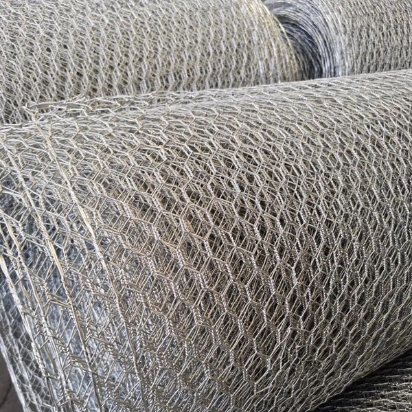 OEM/ODM Supplier Cage And Aviary Wire Mesh - 1.6 mm Hex Wire Mesh for Ceiling of Bumper Cars – Tian Yilong