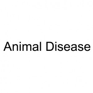 Animal Disease