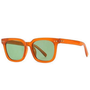 T-225 Newest fashion tr90wholesale polarized sunglasses uv400