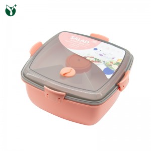 Famous Food Plastic Lunch Box Manufacturers - Double Layer Bento Box – Younghome