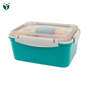 Sealed Salad Lunch Bento Box