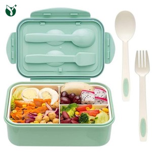Famous Three Compartment Lunch Box Supplier - Microwaveable Lunch Boxes With Cutlery – Younghome
